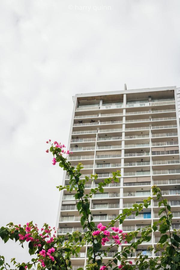 Apartamento El Palmar Residences ซานการ์ลอส ภายนอก รูปภาพ